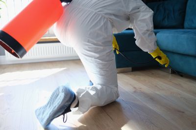 Spider Fumigation Service in West Palm Beach, FL